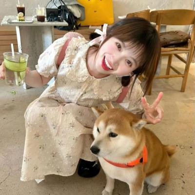 最后的小站